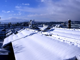 유키노보우사 야마하이혼조죠슈 (720ml) 雪の茅舎 山廃本醸造