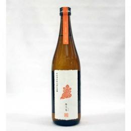 아라마사 히노토리 귀양주(키죠우슈) (720ml) 新政 陽乃鳥(ひのとり) 貴醸酒